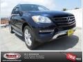 2013 Lunar Blue Metallic Mercedes-Benz ML 350 4Matic  photo #1