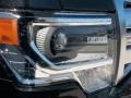 2013 Tuxedo Black Metallic Ford F150 Platinum SuperCrew  photo #10