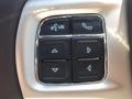 Canyon Brown/Light Frost Beige Controls Photo for 2013 Ram 1500 #80853406