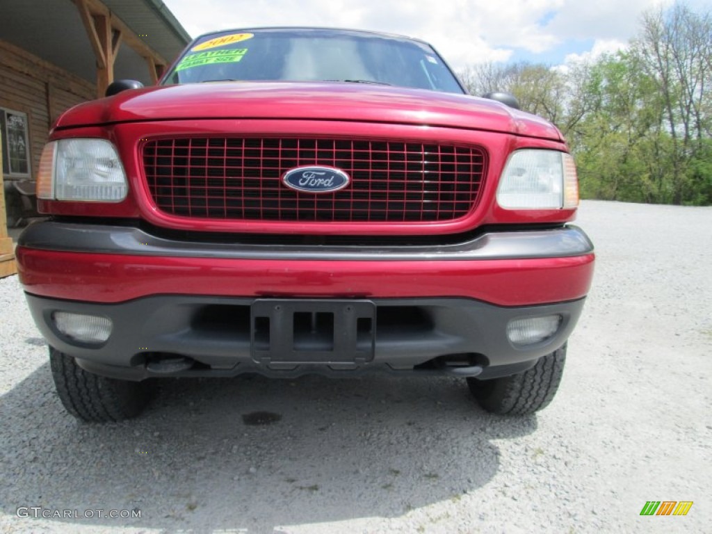 2002 Expedition XLT 4x4 - Laser Red / Medium Graphite photo #3