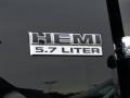Black - Ram 1500 Express Regular Cab Photo No. 28