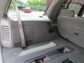 2002 Laser Red Ford Expedition XLT 4x4  photo #21