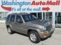 Light Khaki Metallic 2003 Jeep Liberty Gallery
