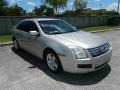 Silver Birch Metallic 2007 Ford Fusion SE