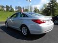 Radiant Silver - Sonata GLS Photo No. 7