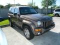 2002 Woodland Brown Satin Glow Jeep Liberty Limited 4x4  photo #2