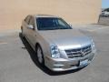 Light Platinum - STS 4 V6 AWD Photo No. 4