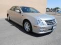 Light Platinum - STS 4 V6 AWD Photo No. 5