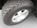 Black Diamond - FJ Cruiser 4WD Photo No. 30