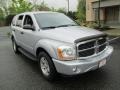 Brilliant Silver Metallic - Durango SLT 4x4 Photo No. 11