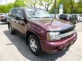 Bordeaux Red Metallic - TrailBlazer LS 4x4 Photo No. 7