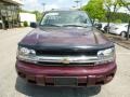 Bordeaux Red Metallic - TrailBlazer LS 4x4 Photo No. 8