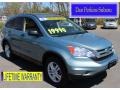 2010 Opal Sage Metallic Honda CR-V EX AWD  photo #1