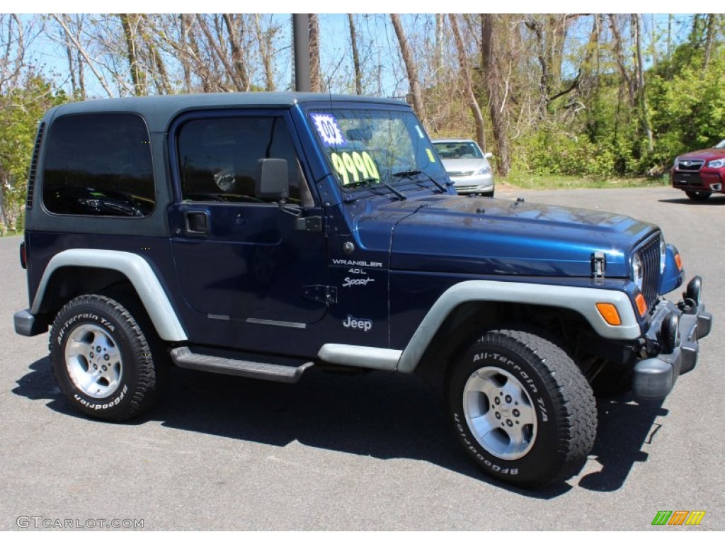 2000 Wrangler Sport 4x4 - Patriot Blue Pearl / Agate photo #5