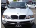 Titanium Silver Metallic - X5 3.0i Photo No. 2