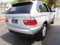 Titanium Silver Metallic - X5 3.0i Photo No. 5