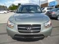 2009 Natural Khaki Hyundai Santa Fe Limited 4WD  photo #2