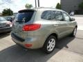 2009 Natural Khaki Hyundai Santa Fe Limited 4WD  photo #7