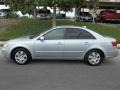 Radiant Silver - Sonata GLS Photo No. 21