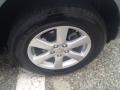 Everglade Metallic - RAV4 Limited V6 4WD Photo No. 29