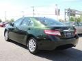 2011 Spruce Green Mica Toyota Camry XLE  photo #4