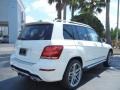 Polar White - GLK 350 Photo No. 3