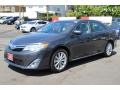 Magnetic Gray Metallic - Camry XLE Photo No. 3