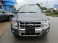 2011 Sterling Grey Metallic Ford Escape Limited V6 4WD  photo #6