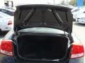 Brilliant Black Crystal Pearl - Charger SE Photo No. 14
