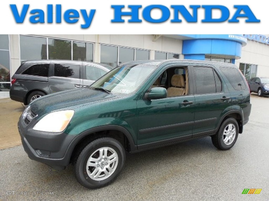 2004 CR-V EX 4WD - Clover Green Pearl / Saddle photo #1