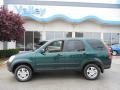 2004 Clover Green Pearl Honda CR-V EX 4WD  photo #2