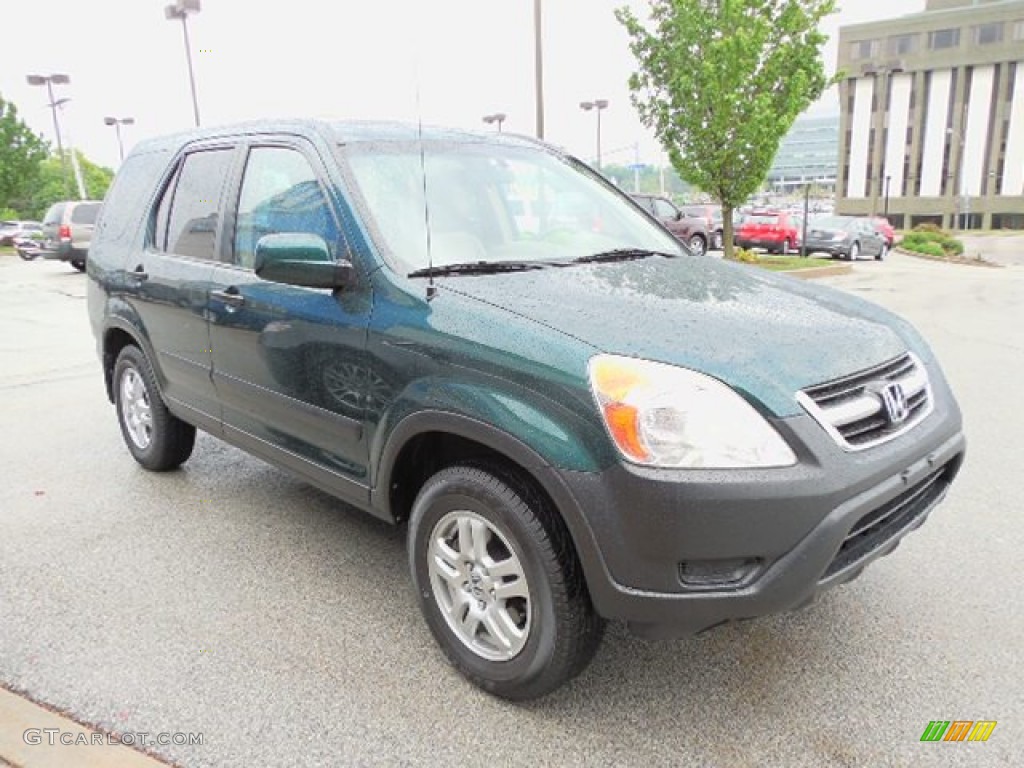 Clover Green Pearl 2004 Honda CR-V EX 4WD Exterior Photo #80902041