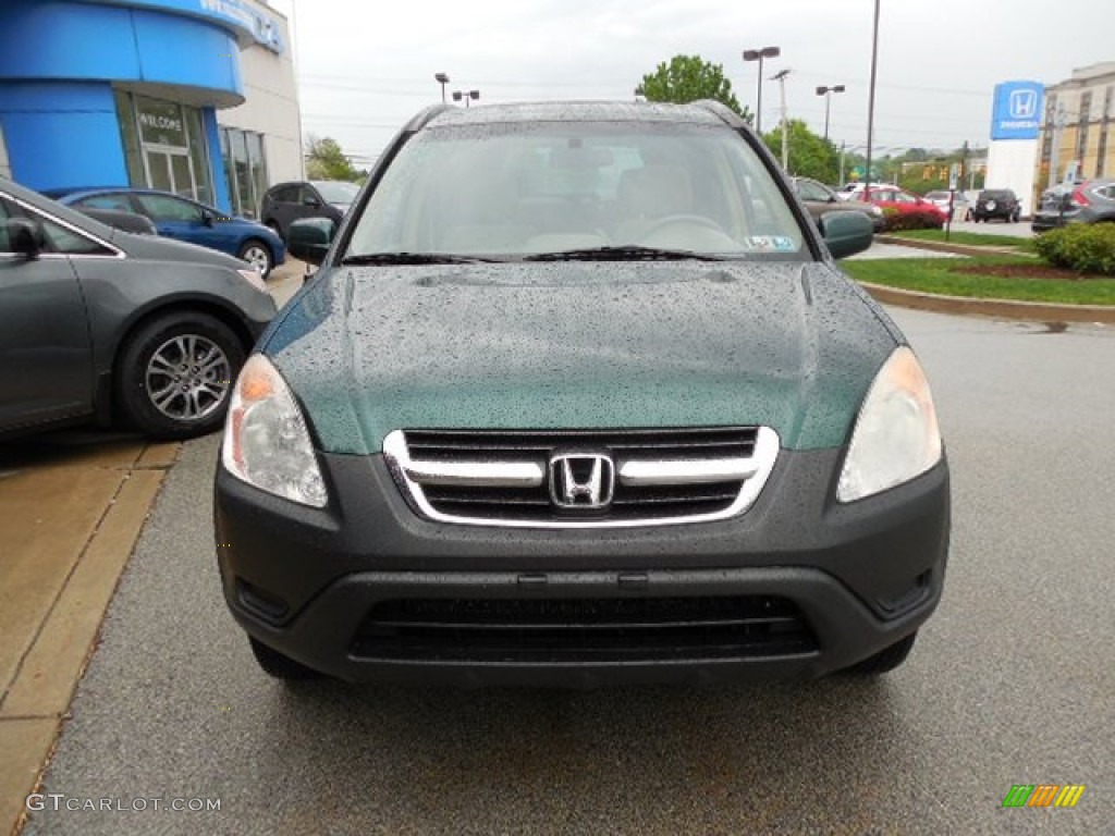 2004 CR-V EX 4WD - Clover Green Pearl / Saddle photo #6