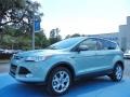 2013 Frosted Glass Metallic Ford Escape SEL 1.6L EcoBoost  photo #1