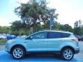 2013 Frosted Glass Metallic Ford Escape SEL 1.6L EcoBoost  photo #2