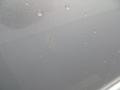 Bright Silver Metallic - Charger SRT8 Photo No. 17