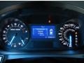 Medium Light Stone Gauges Photo for 2013 Ford Edge #80904945