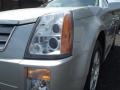 Radiant Silver - SRX V6 Photo No. 36