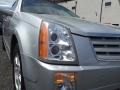 Radiant Silver - SRX V6 Photo No. 37