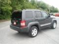 2010 Dark Charcoal Pearl Jeep Liberty Limited 4x4  photo #9