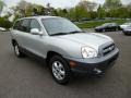 Pewter 2006 Hyundai Santa Fe Limited 4WD