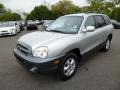 Pewter - Santa Fe Limited 4WD Photo No. 3