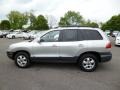 Pewter - Santa Fe Limited 4WD Photo No. 4