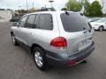 Pewter - Santa Fe Limited 4WD Photo No. 5