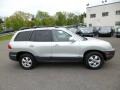 Pewter - Santa Fe Limited 4WD Photo No. 8