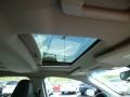 Ingot Silver - Taurus SHO AWD Photo No. 11