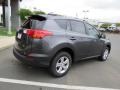 Magnetic Gray Metallic - RAV4 XLE Photo No. 18