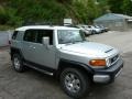 Titanium Metallic - FJ Cruiser 4WD Photo No. 1
