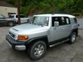 Titanium Metallic - FJ Cruiser 4WD Photo No. 3