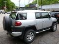 Titanium Metallic - FJ Cruiser 4WD Photo No. 11